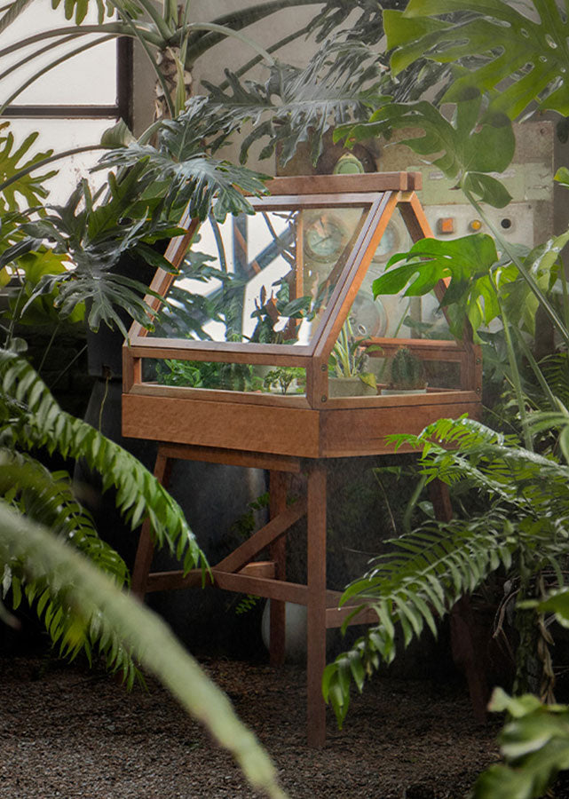 Solid Wood Plant Display Case