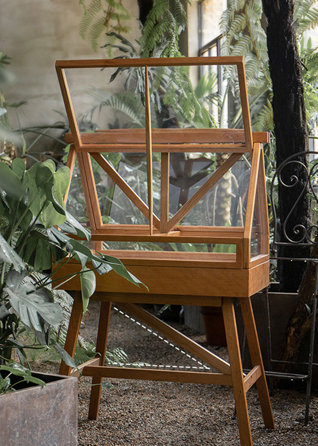 Solid Wood Plant Display Case
