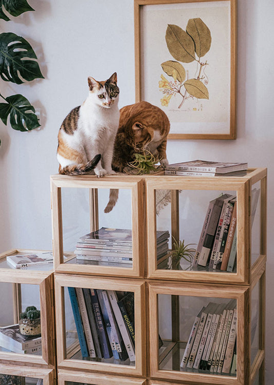 Theama Solid Wood and Glass Display Cabinet