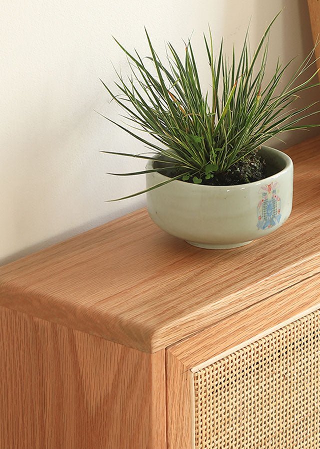 Ultra Thin Solid Wood Shoe Cabinet