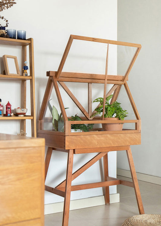 Solid Wood Plant Display Case