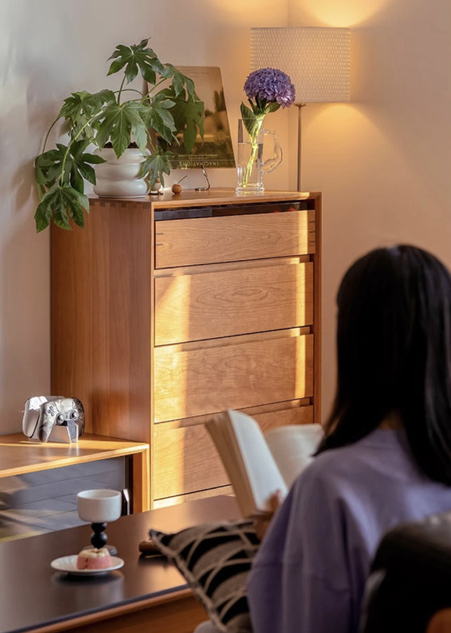 Minimalist Solid Wood Drawer Chest