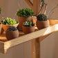 Solid Wood Movable Plant Rack