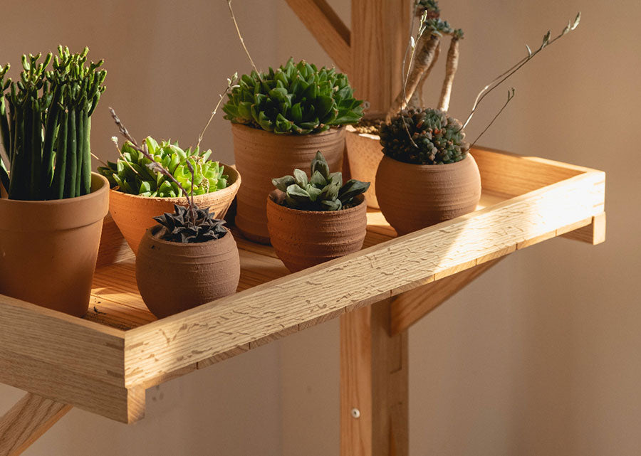 Solid Wood Movable Plant Rack