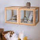 Theama Solid Wood and Glass Display Cabinet