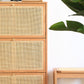 Ultra Thin Solid Wood Shoe Cabinet